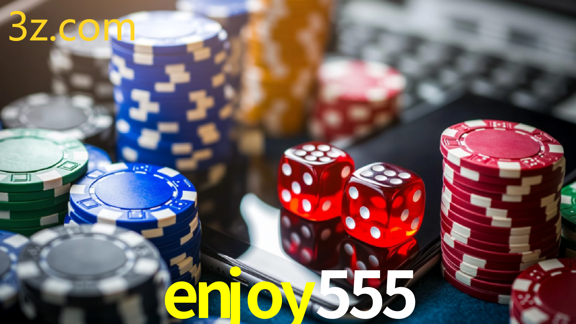 ENJOY555