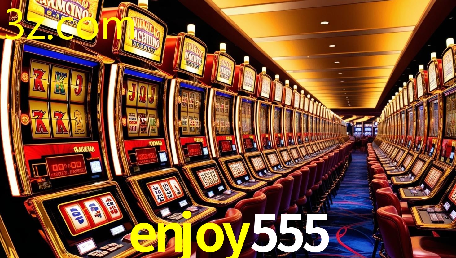 ENJOY555