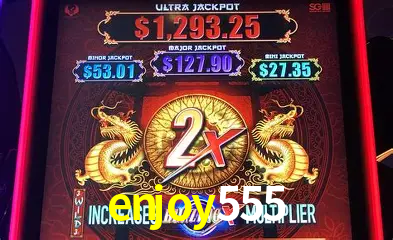 VIP Casino enjoy555