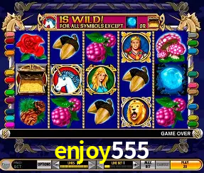 Roulette Table enjoy555