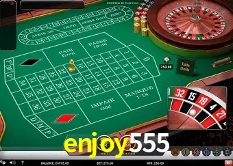 Live Casino enjoy555